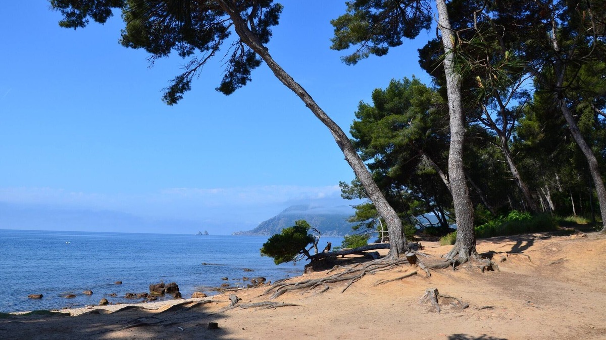 Saint-Mandrier-sur-Mer Apartment | Studio ZEN 2/4 to 5 pers. -> 23H Walking distance (beach, hiking, children's playground, shops)