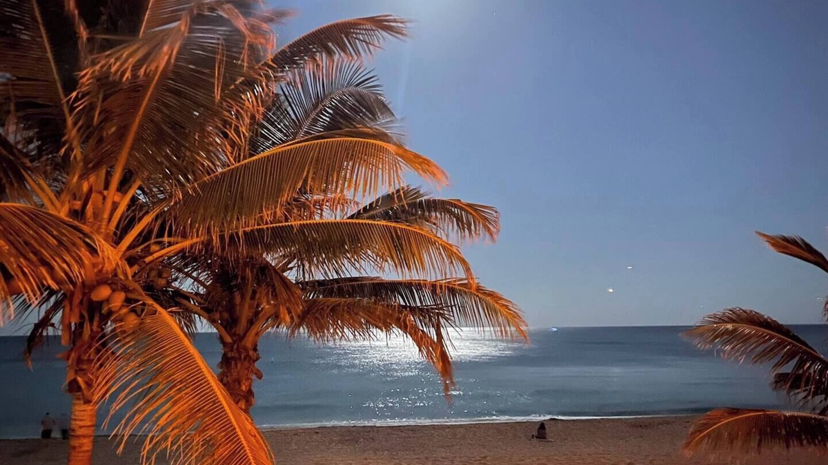Lauderdale-by-the-Sea Apartment | StudioBTS - Right on the beach!