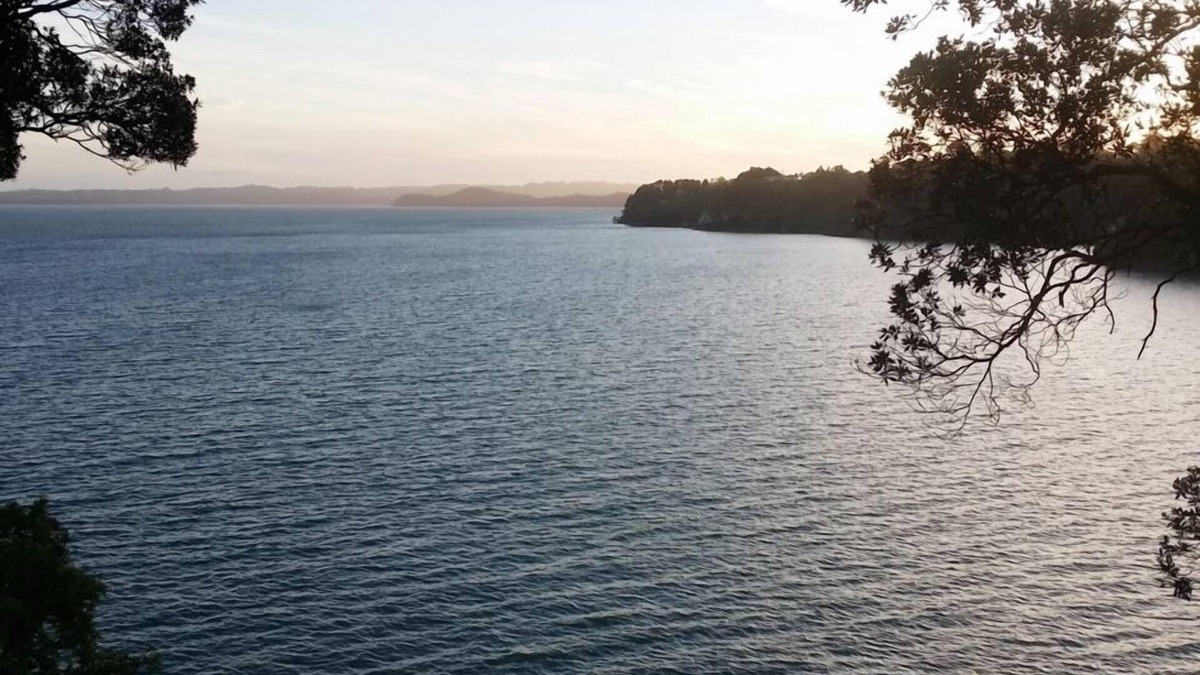 Titirangi House | Stunning clifftop seaview house Auckland Clifftop