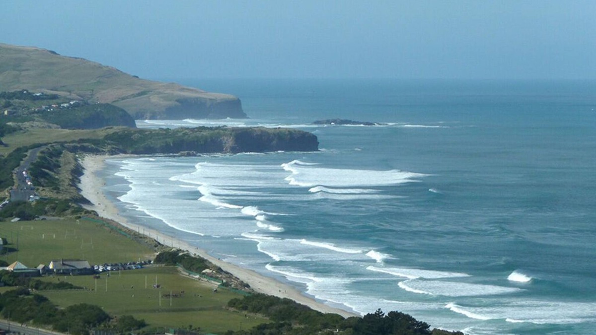 St. Clair House | Stunning Panoramic Views Surf to City - St Clair