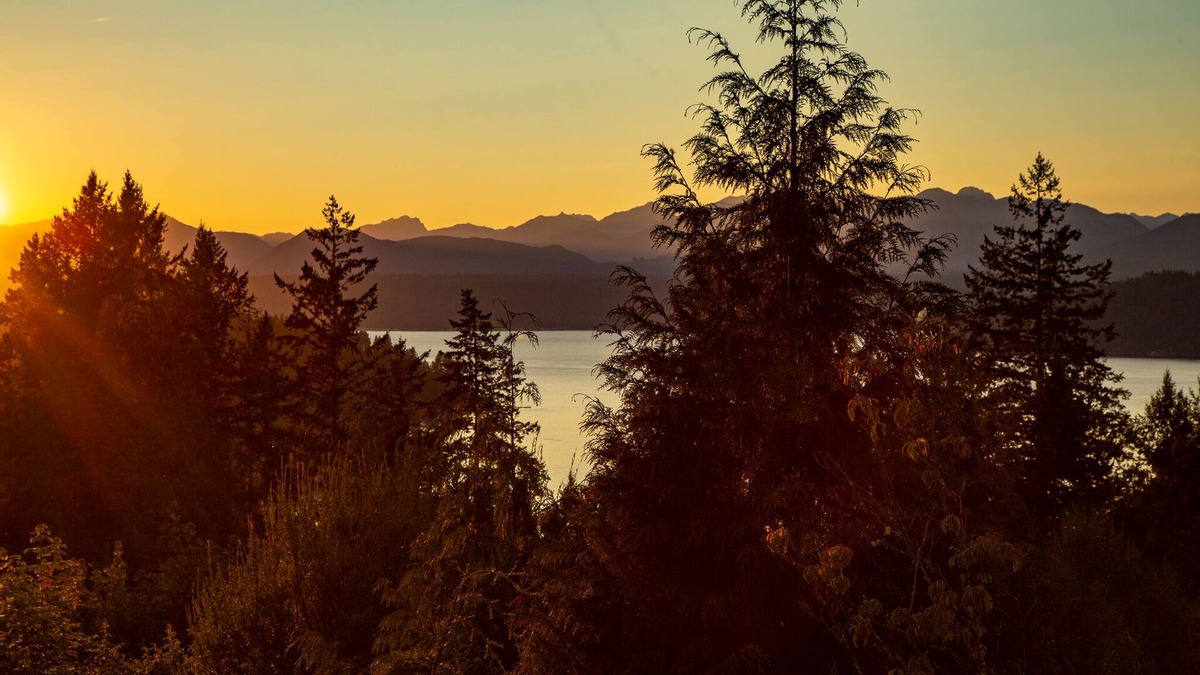 Union Apartment | Stunning Views from this Modern Hood Canal Retreat