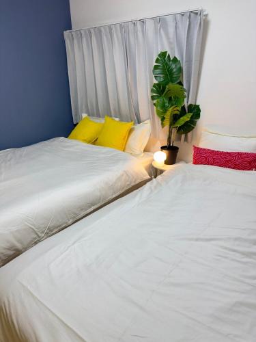 Higashiyotsugi Apartment | Style Lab四つ木