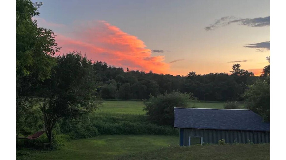 Newport House | Stylish and unique 6 Bedroom in-town property.