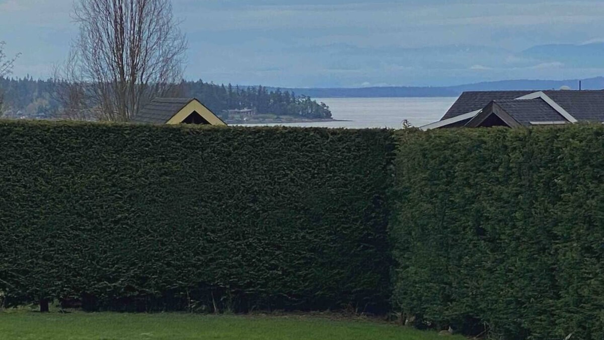 Chemainus Bed & Breakfast | Stylish West Coast King Suite B&B