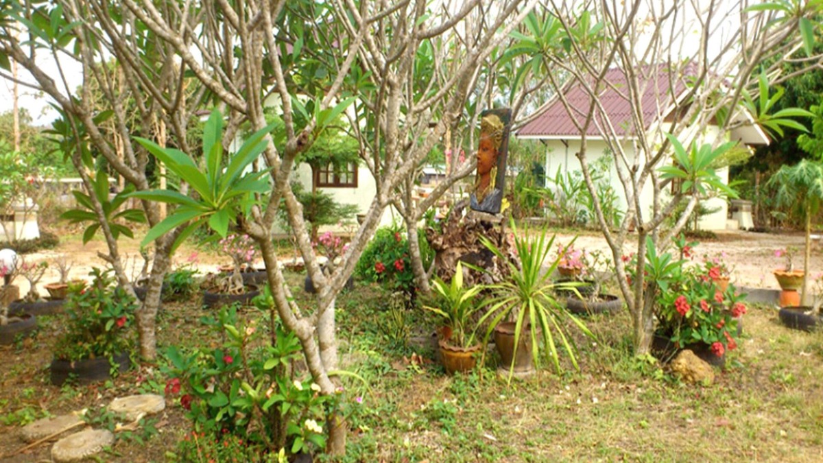 Wang Saphung Hotel | Suan Lamyai Resort