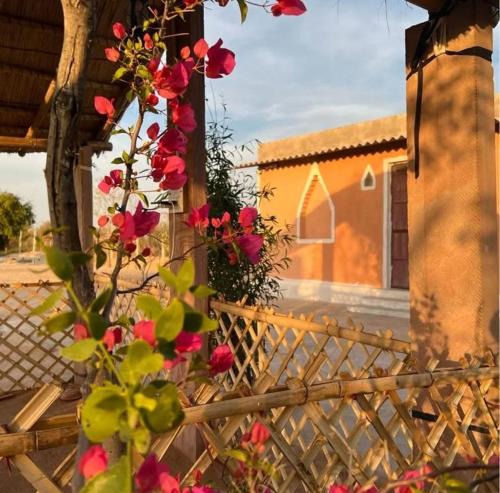 Ahor Bed & Breakfast | Subhadra ecolodge