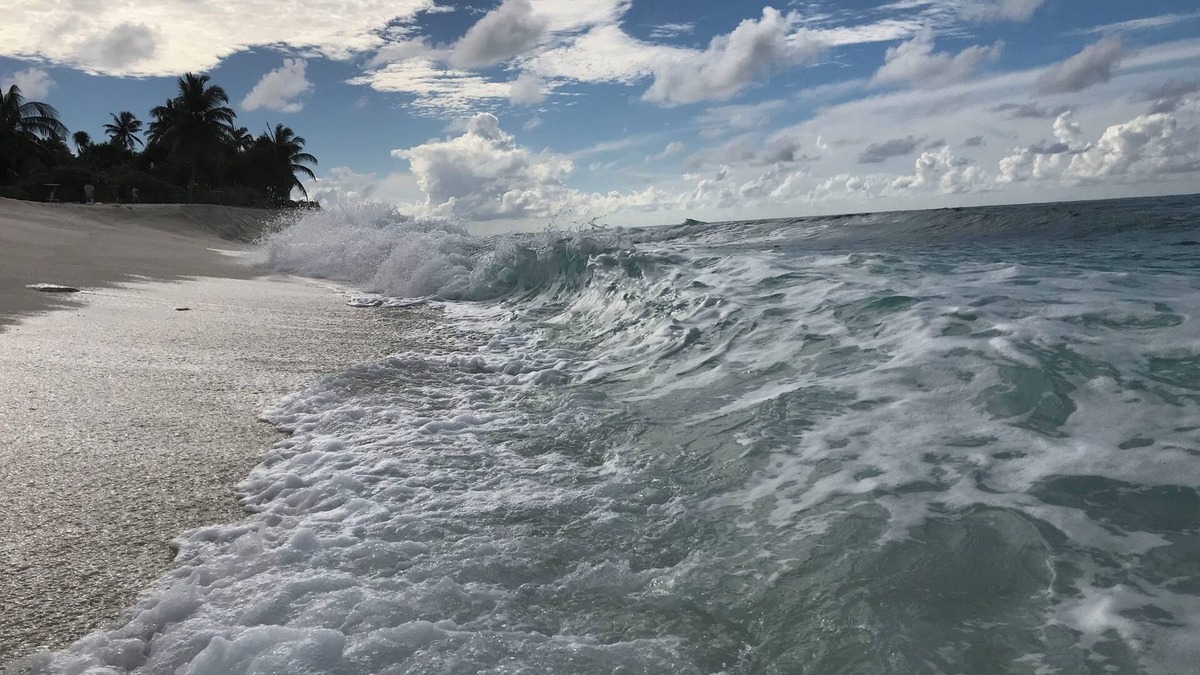 Fuvahmulah Hotel | Suffix Retreat - Stay, Dive & Explore Fuvahmulah