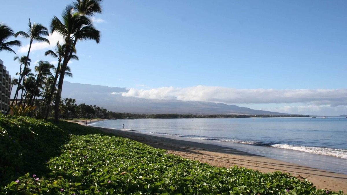 Kihei Condo | Sugar Beach Maui! Direct Ocean Front! Best View! Best Value!