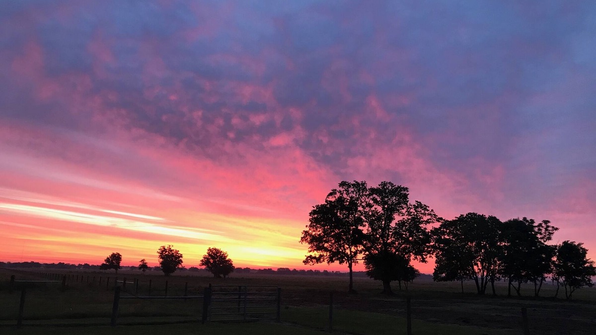Damon House | Sugar Land Countryside and Brazos Bend Park quiet farm house retreat
