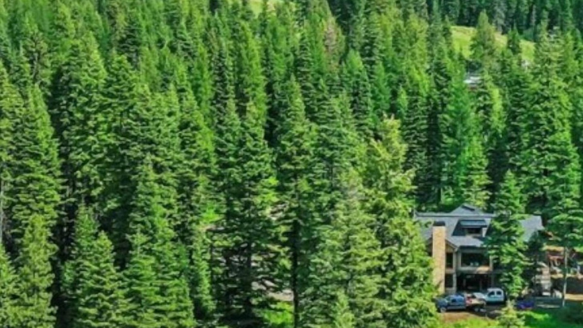 Tamarack Resort House | Sugarloaf Summit @ Tamarack Resort | Insta-Worthy SKI IN/OUT Mountain Modern Estate