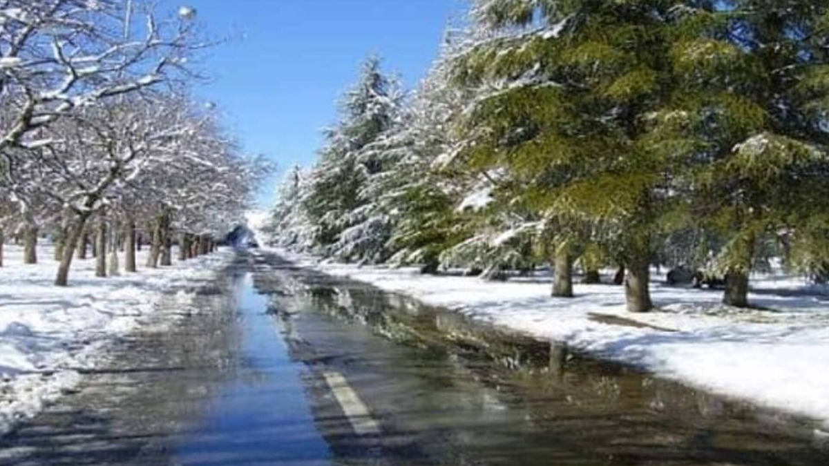 Bitit Apartment | Suisse du Maroc Pour un Groupe ou une Famille 53