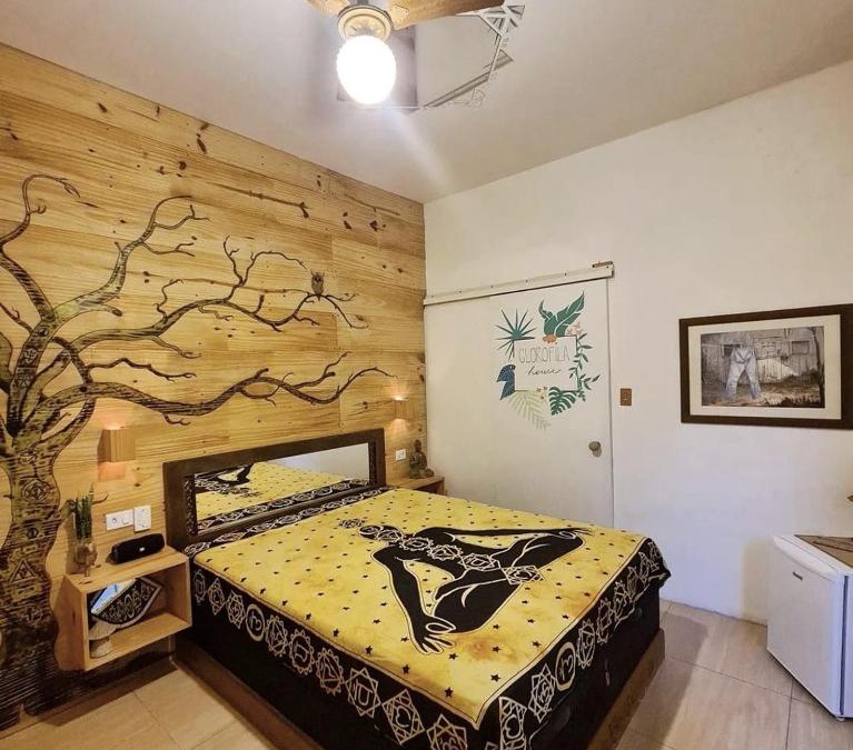 Sumare House | Suite Clorofila House Guest House