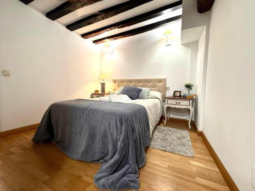 Toledo City Center Apartment | Suite Imperial I * Historic Center * Early Check-in