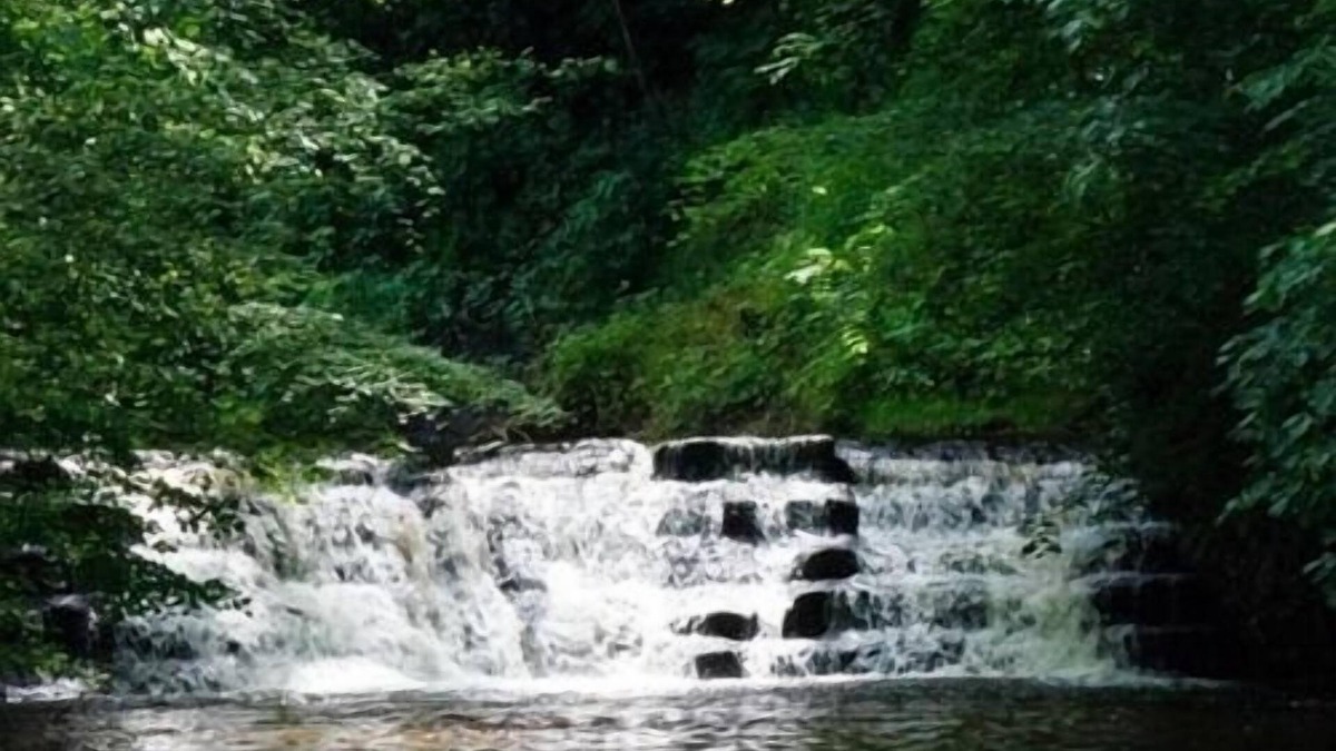Staddlebridge House | Suite-Luxury-Wet room-and Shower The Middleton