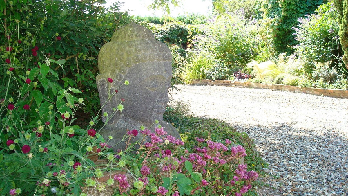Wingham House | Suite - Studio with spa facilities and treatments