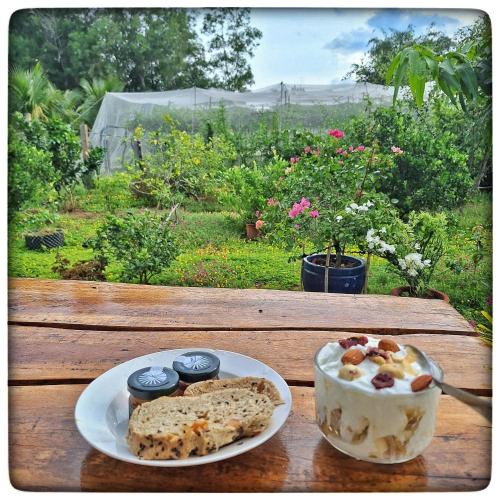 Xuyen Moc House | Summer Stations Homestay Binh Chau - Ho Coc Beach - Vung Tau