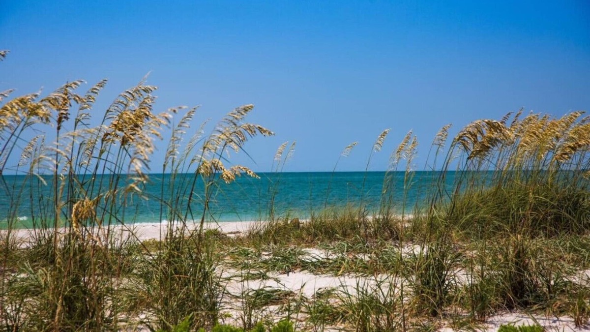 Mid Island House | Sun Kiss Villas - Beachside Duplex, Private Pool and Steps to Beach