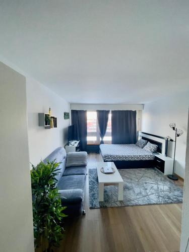Sandrain Apartment | Suncatcher Studio