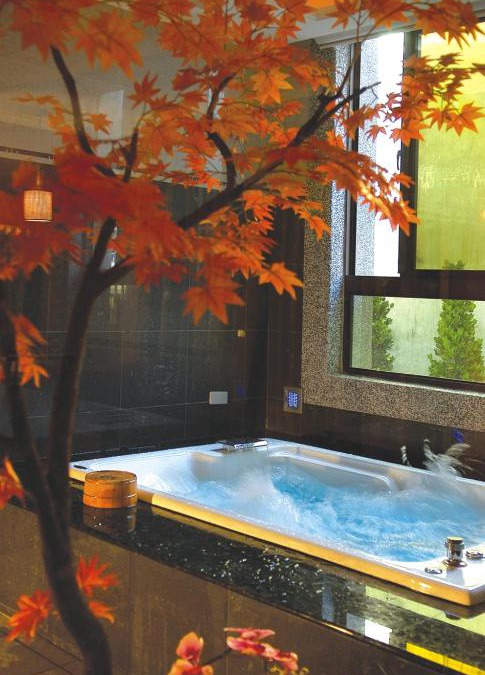 Hsinchu City Centre Hotel | Sunflower Motel