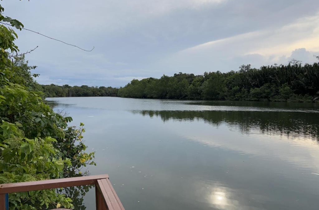 Kuala Rompin House | Sungai endau bilik homestay