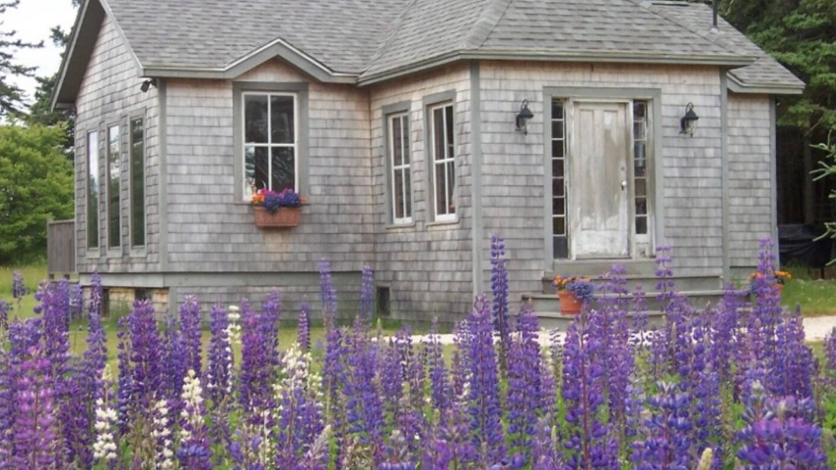 Stonington Cottage | Sunlit Cottage on Crockett Cove