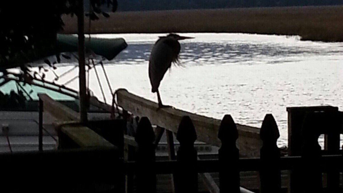 Seabrook House | Sunmist Cottage, Beautiful View, Private Deep Water Dock, Your Own Quiet Getaway