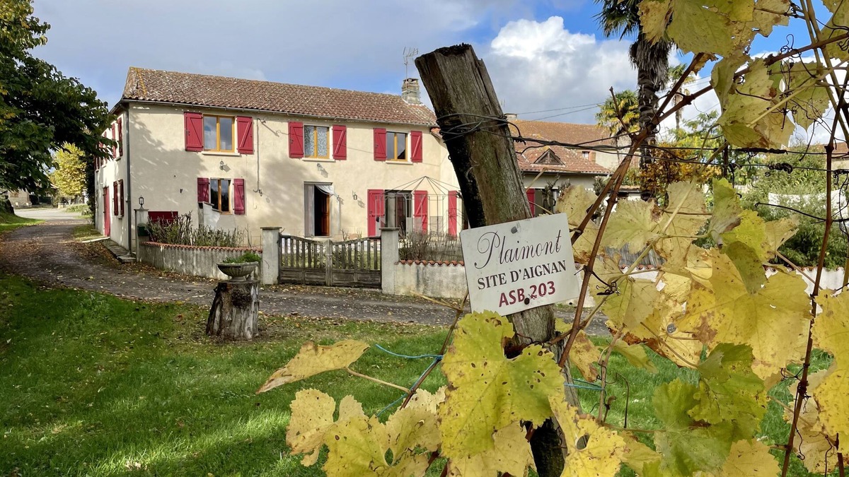 Pouydraguin House | Sunny and lighted village house, with swimming pool, and view of the vineyards