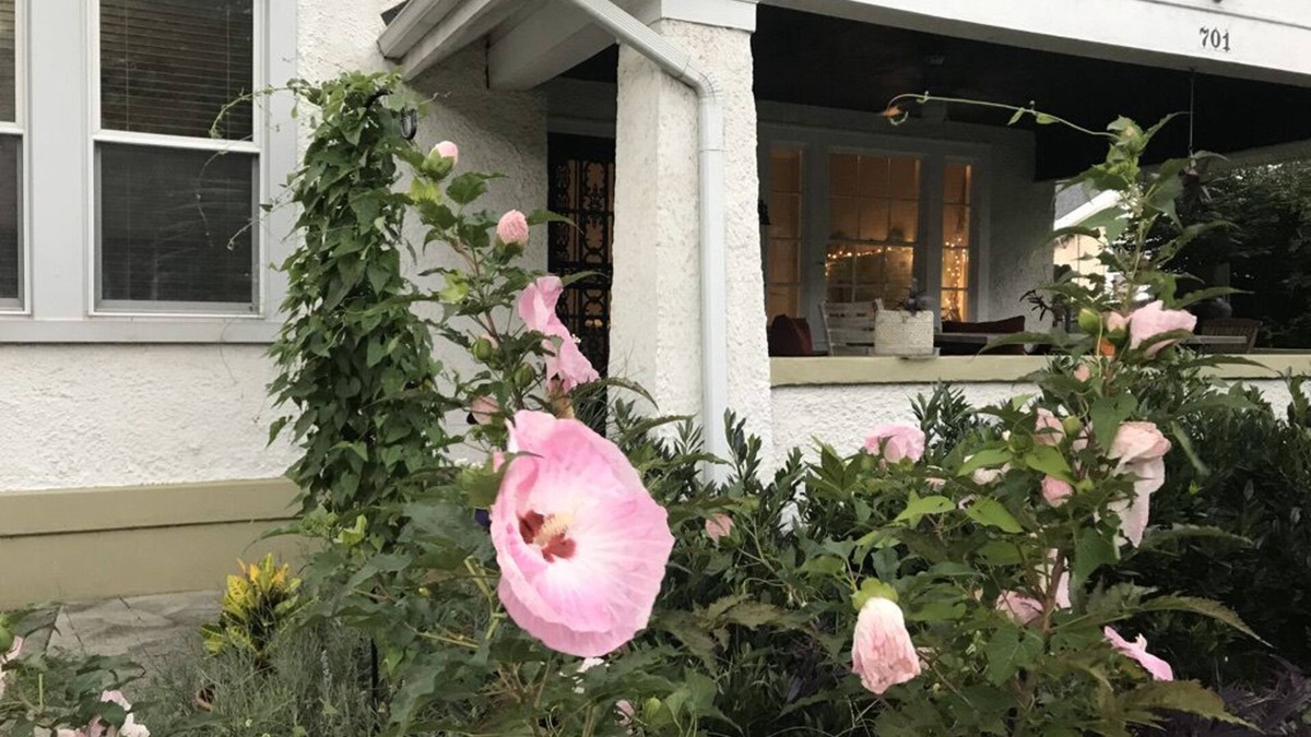 Murfreesboro Apartment | Sunny Blue Bungalow near Nashville in Historic Downtown Murfreesboro