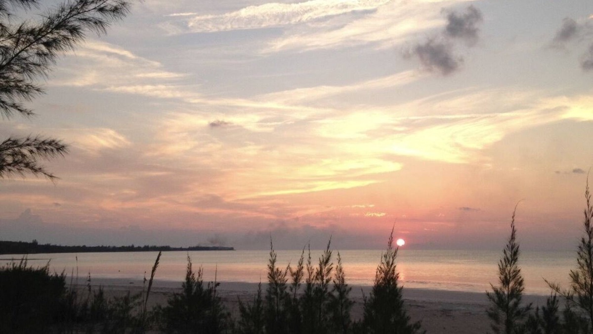 Spanish Wells Apartment | Sunny Daze, 1 bed 1 bath with beach access