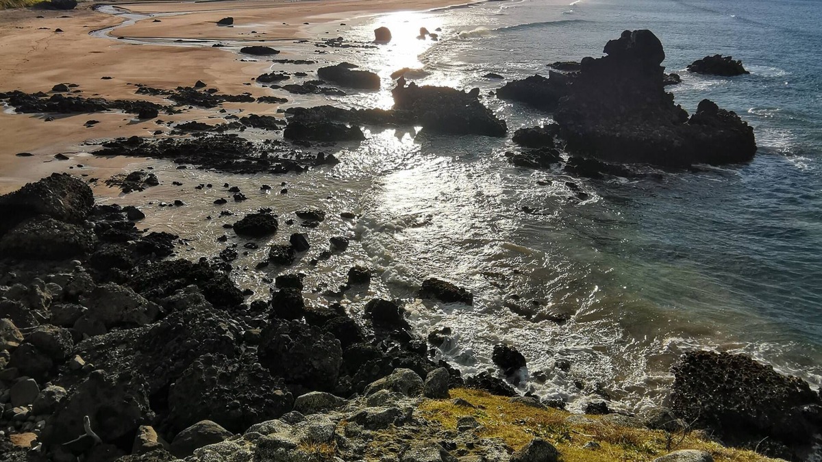 Taupo Bay House | Sunny Daze - Taupo Bay