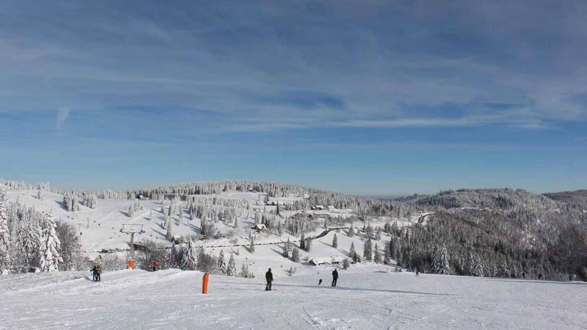 Elbingerode Apartment | Sunny Loft with Mountain Views