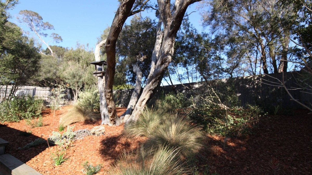 Rye Bed & Breakfast | Sunny Side Up B&B