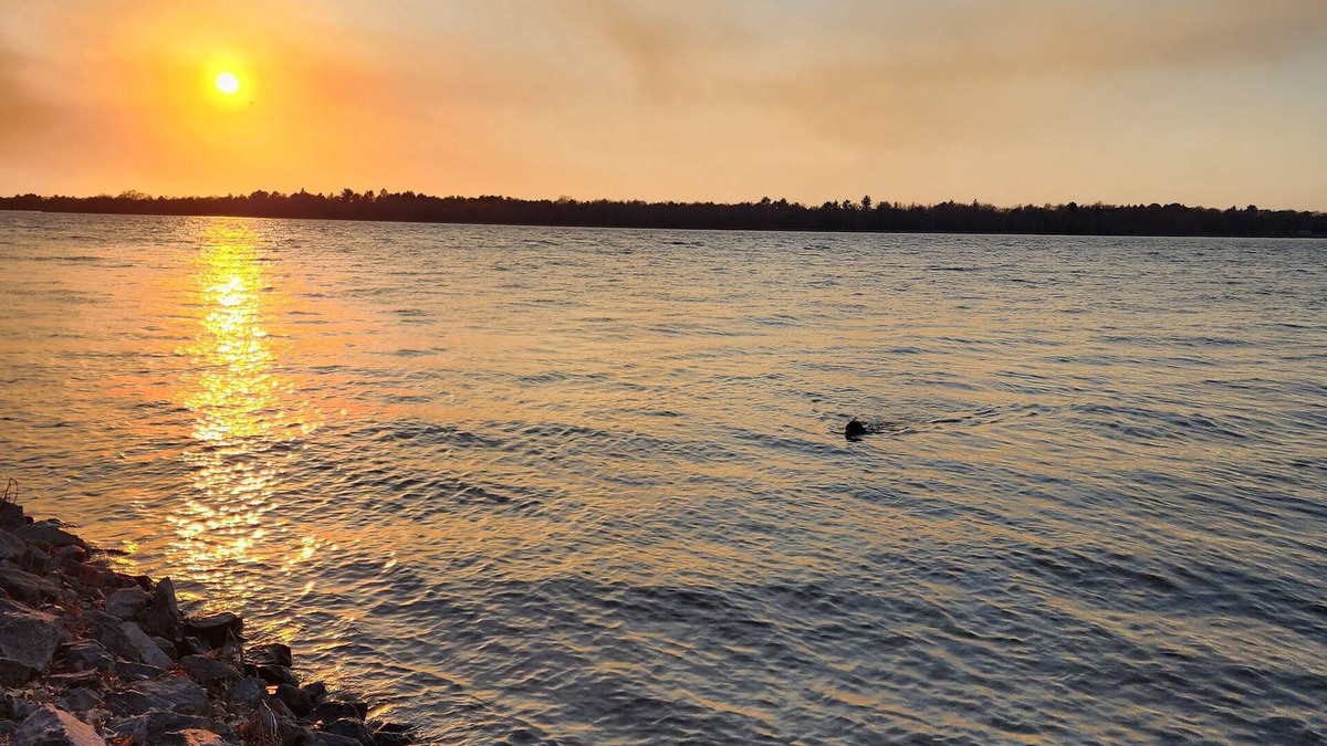 Biron Cottage | Sunset River Vacation! Boat Dock; Pet friendly; Sleeps 9