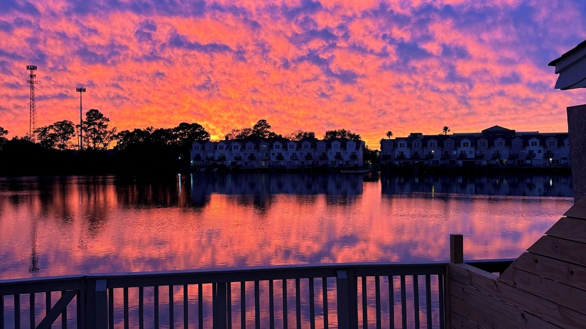 North Charleston House | ☆Sunset Serenity! Tropical Waterfront Oasis Private Patio 10Min->KingSt & Beach☆