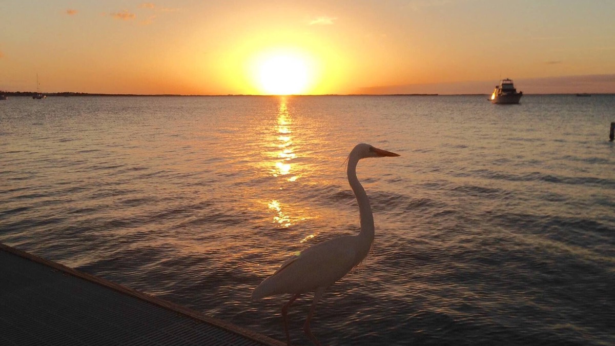 Key Largo Condo | Sunset Serenity at Moon Bay! Amazing Waterfront condo with Spectacular Sunsets!