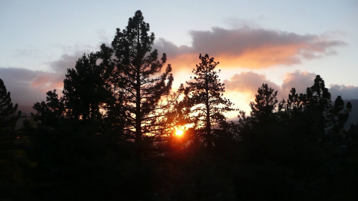 Pine Mountain Club Cabin | Sunset View at Pine Mountain Club–Stunning Views, Modern Comforts & Dog-Friendly