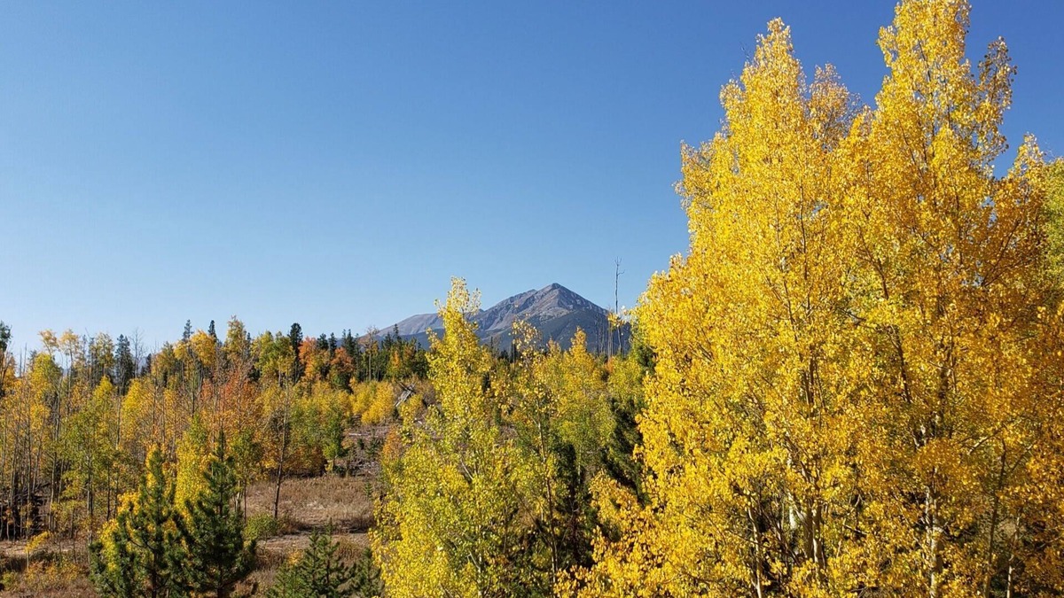 Wildernest Condo | Sunshine and views of Breckenridge and Keystone in a large (1100 sq ft) space!