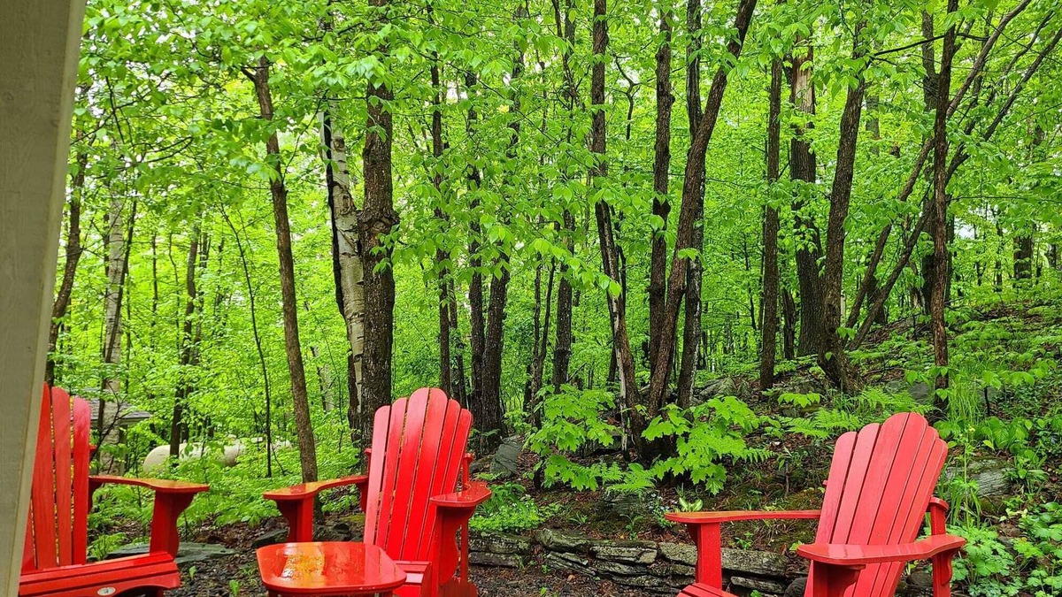 Lake of Bays Cottage | Super Luxury Cottage With Superb Amenities
