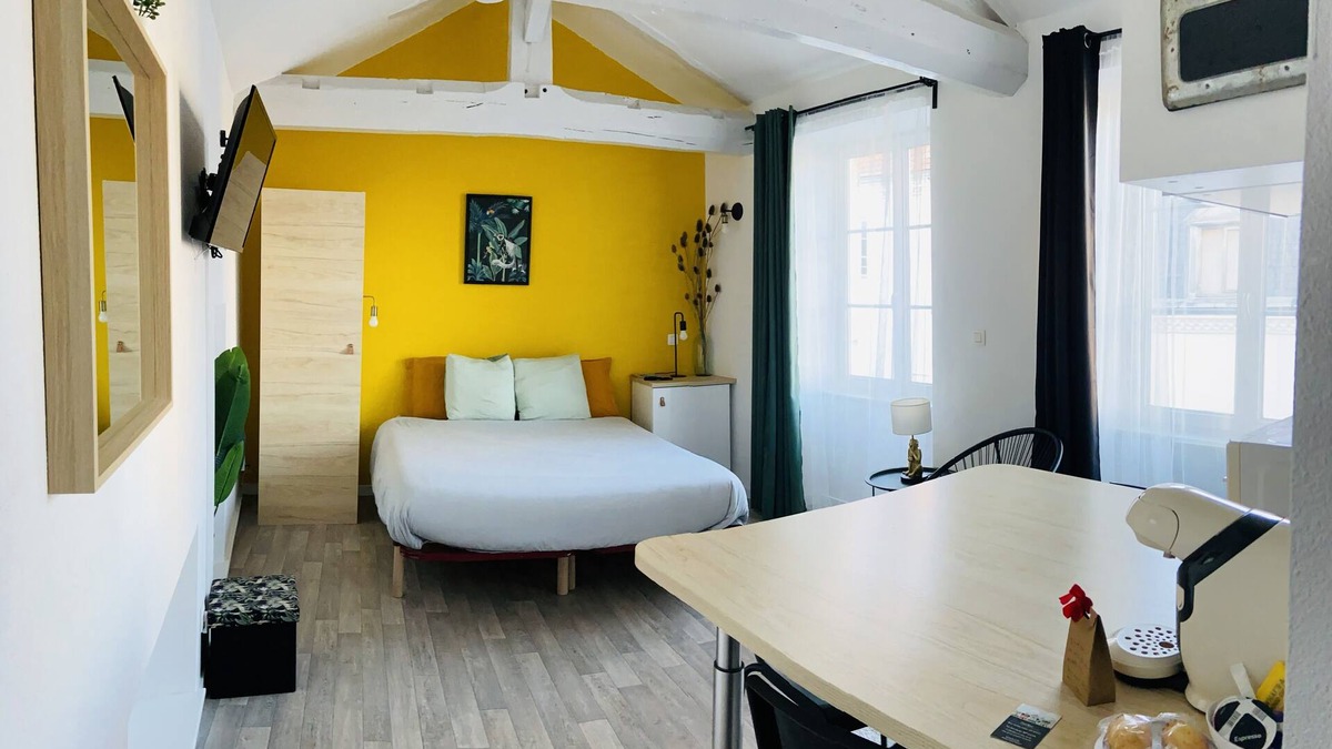 Gannat Apartment | Superb studio jungle downtown Gannat.