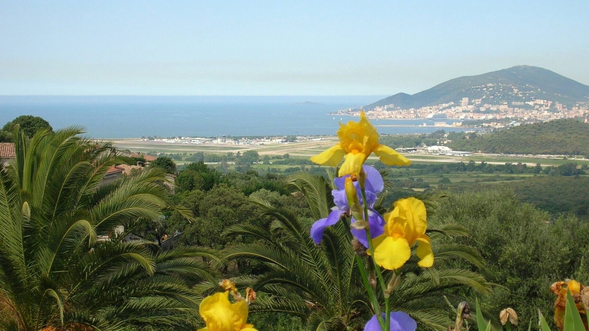 Bastelicaccia House | Superb studio, view of the sea, garden, ground floor of villa in the countryside