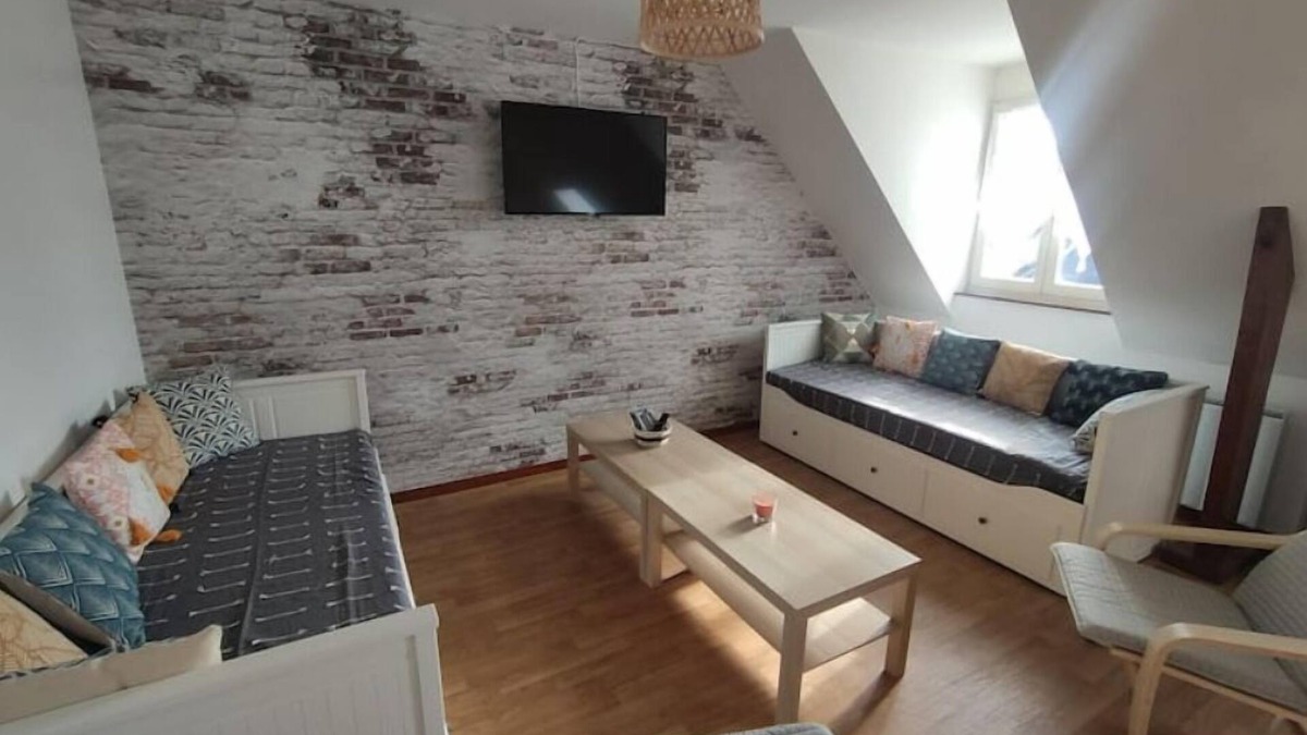 Noyers-sur-Cher Apartment | Superbe Appartement 5 mn du Zoo de Beauval