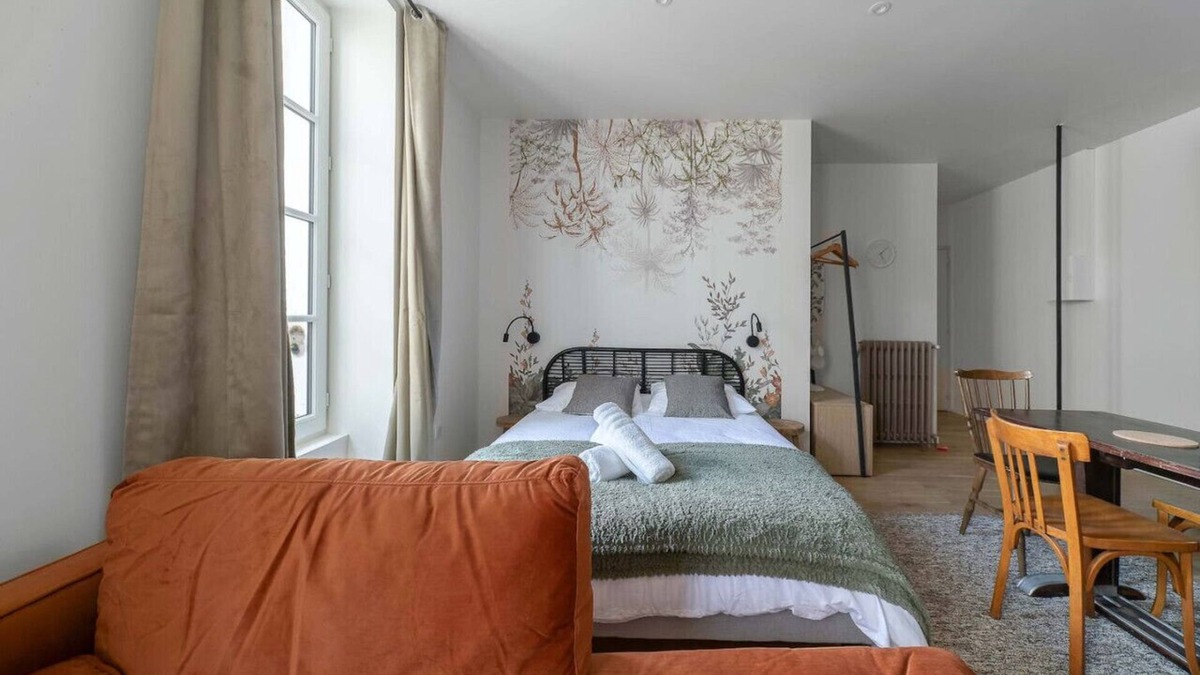 Vieux Vichy Apartment | Superbe studio climatisé dans immeuble classé