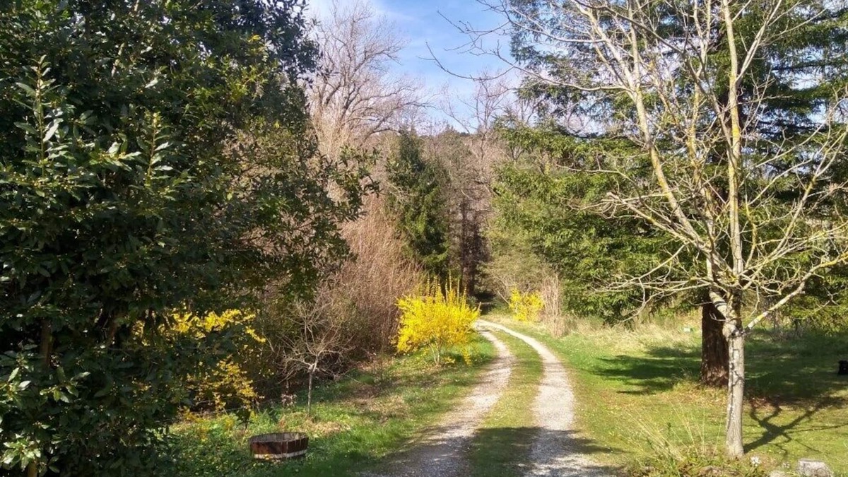 Albieres House | Surrounded by forests, foothills & rivers, spacious Gite in the Cathare Country
