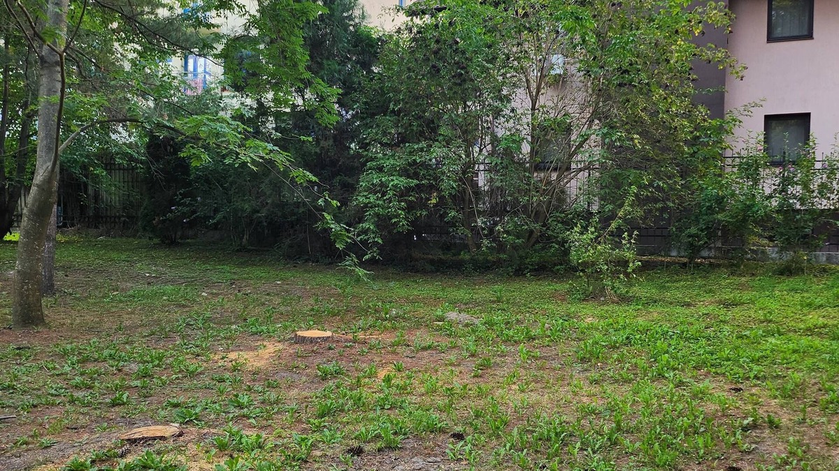 Telese Apartment | Surrounded by olive, oak and pine trees with panoramic views