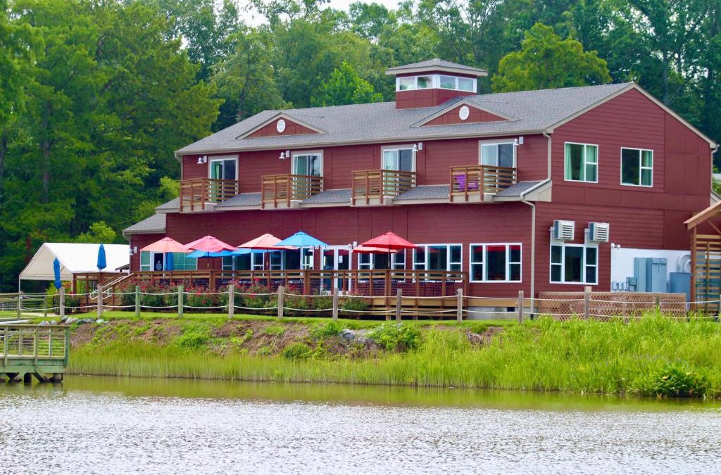 Surry Hotel | Surry Seafood Company