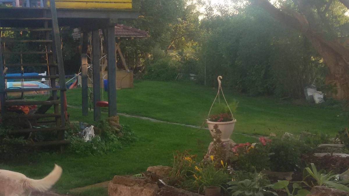 Altengottern Other | sustainably-course-nah