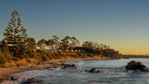 Swansea Resort | Swansea Beach Chalets