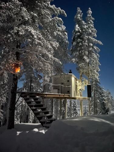 Arvidsjaur Municipality House | Swedish Treehouse