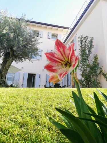 San Giorgio in Salici House | Sweet Corner
