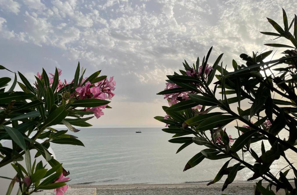 Kassandra Apartment | Sweet dreams at the seaside